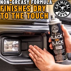 Black On Black Instant Shine