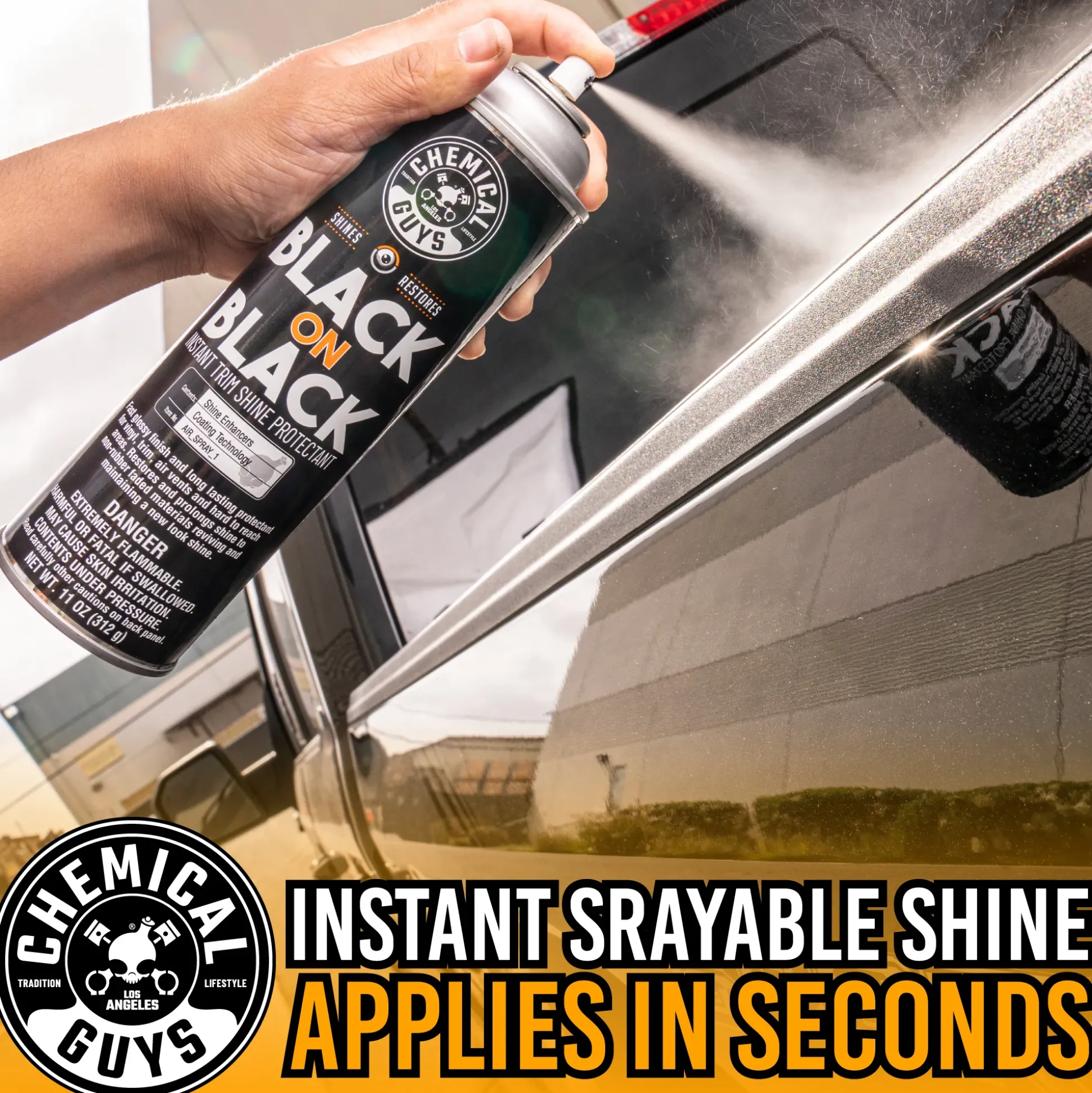 Black On Black Instant Shine