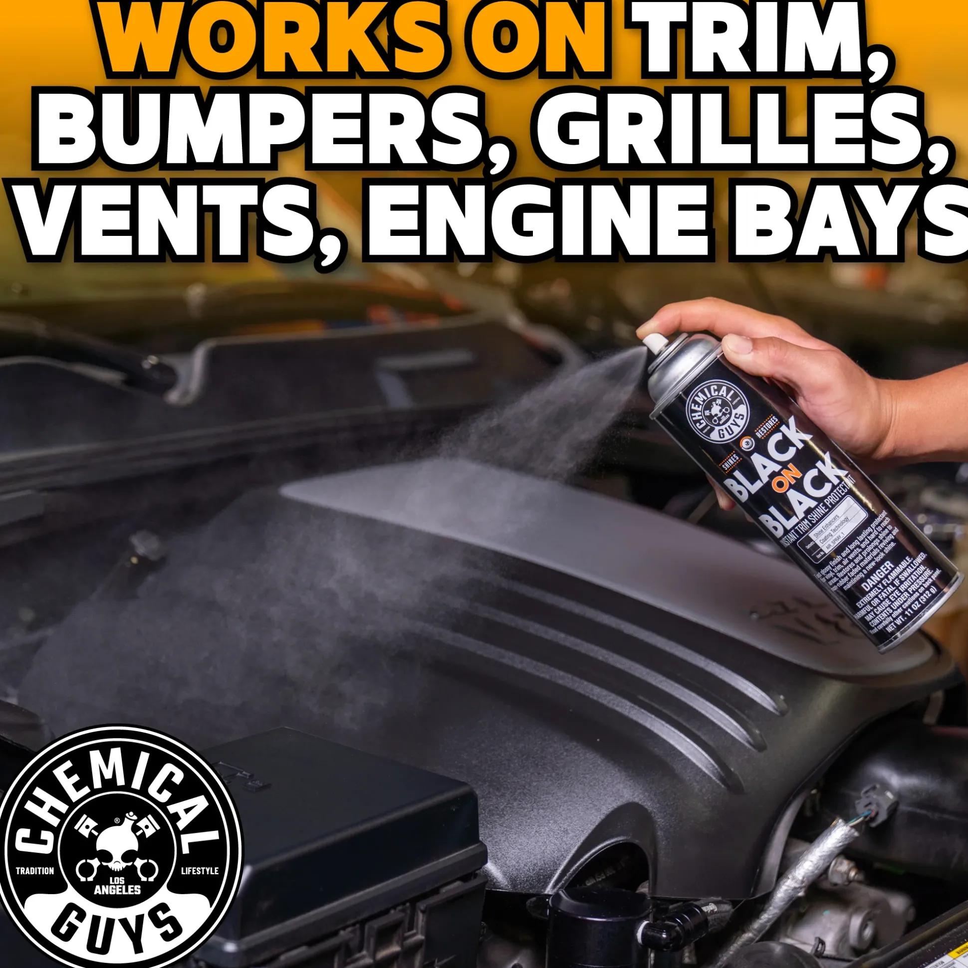 Black On Black Instant Shine