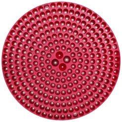 Cyclone Dirt Trap