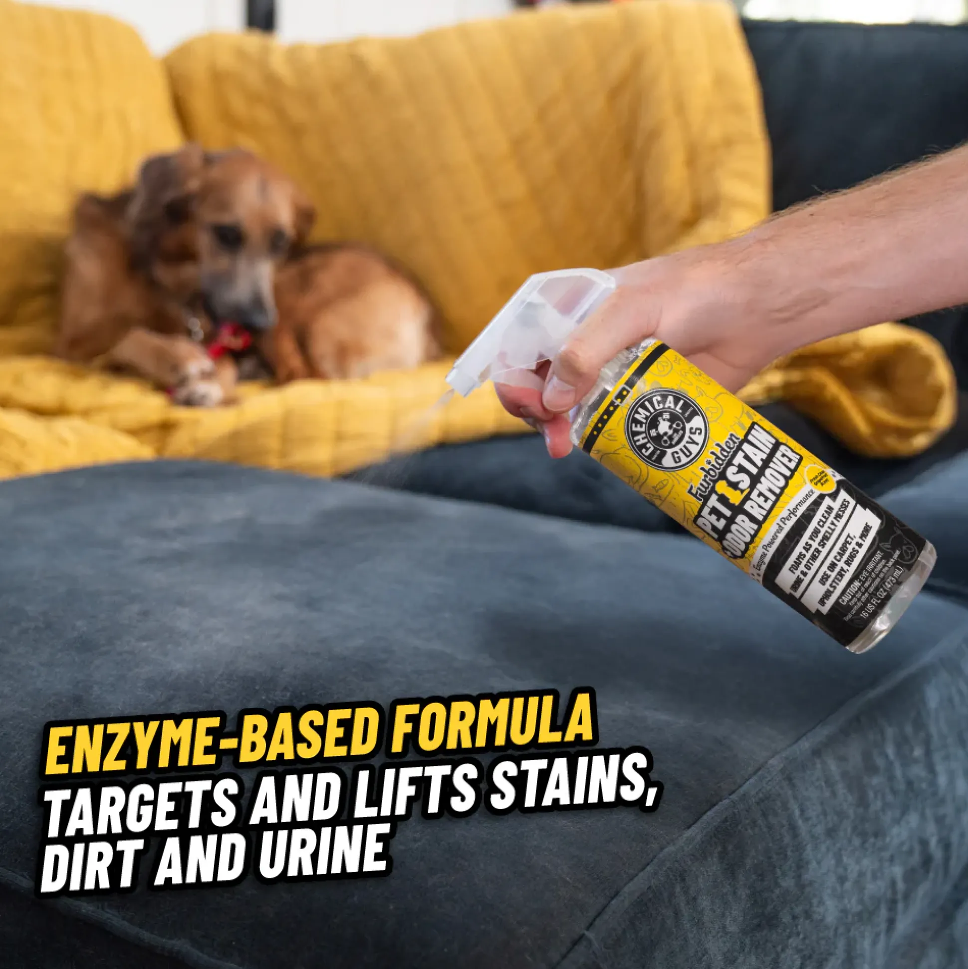 Furbidden® Pet Stain Remover