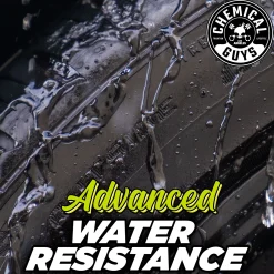 Galactic Black Wet Look Tire Shine Dressing