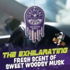 Galactic Scent Hanging Air Freshener