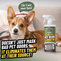 Ghosted Pet Odor Eliminator