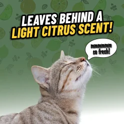 Ghosted Pet Odor Eliminator
