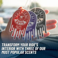 Hanging Air Freshener Variety Pack