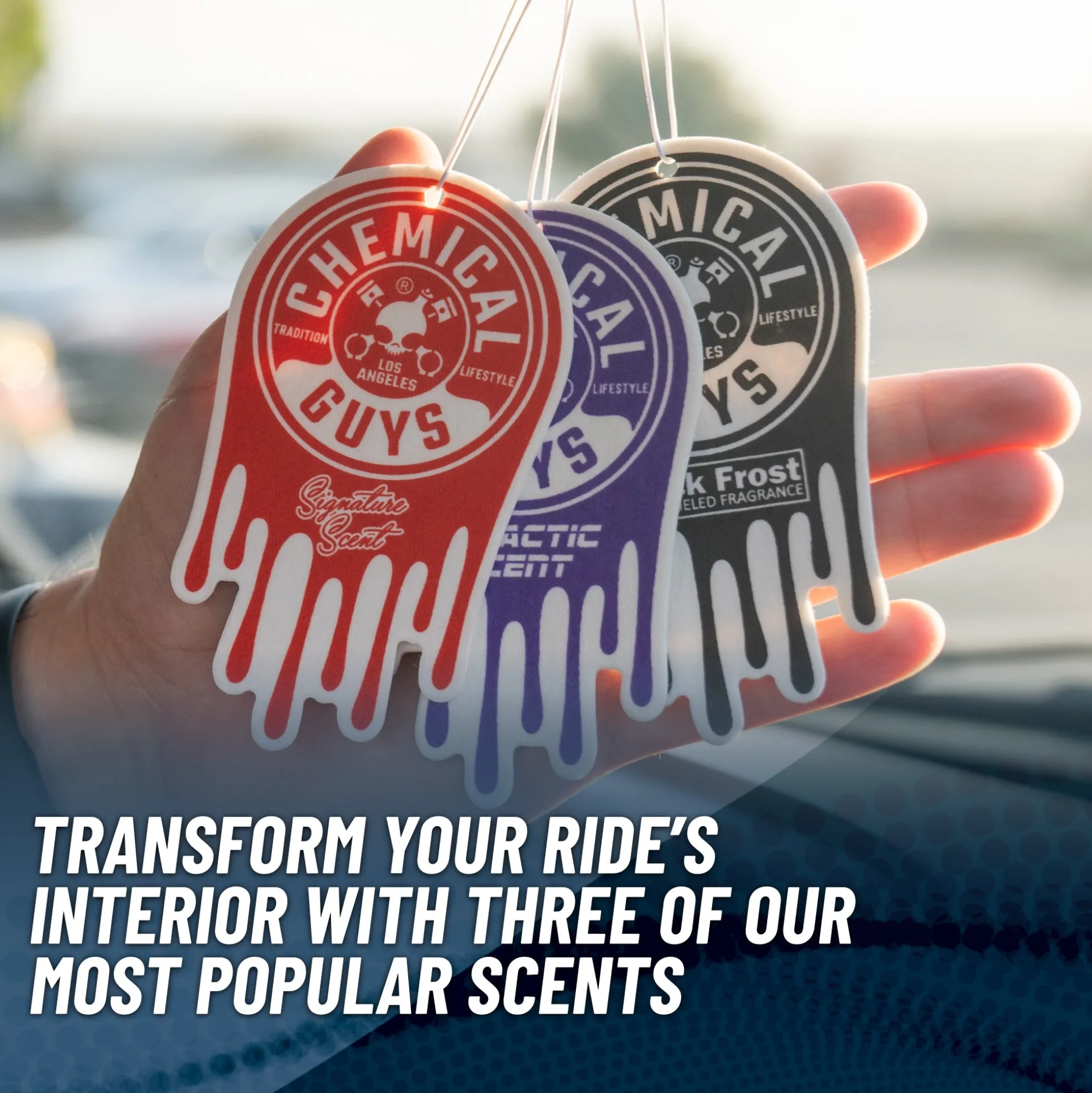 Hanging Air Freshener Variety Pack