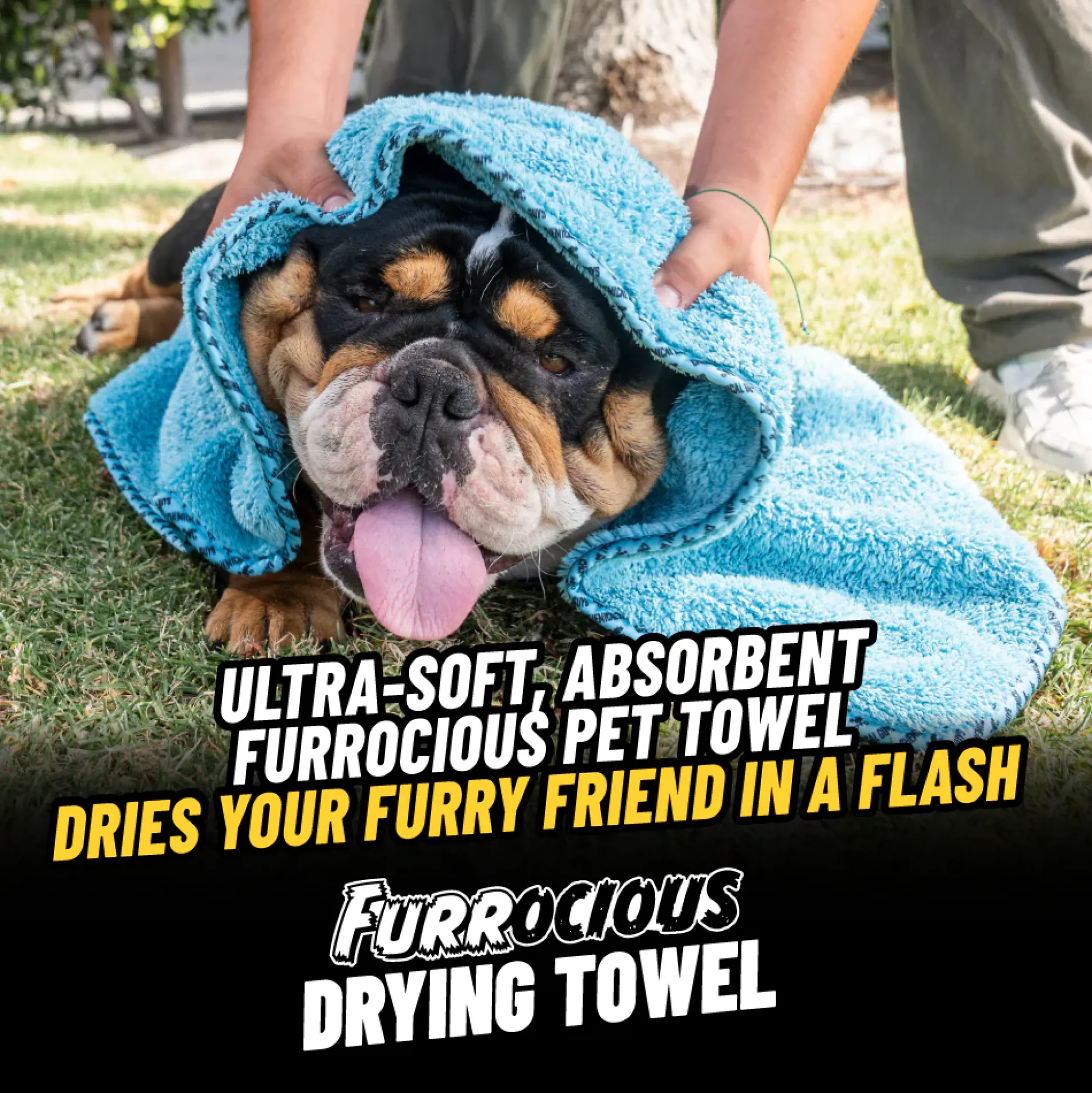 Interior Pet Mess Kit