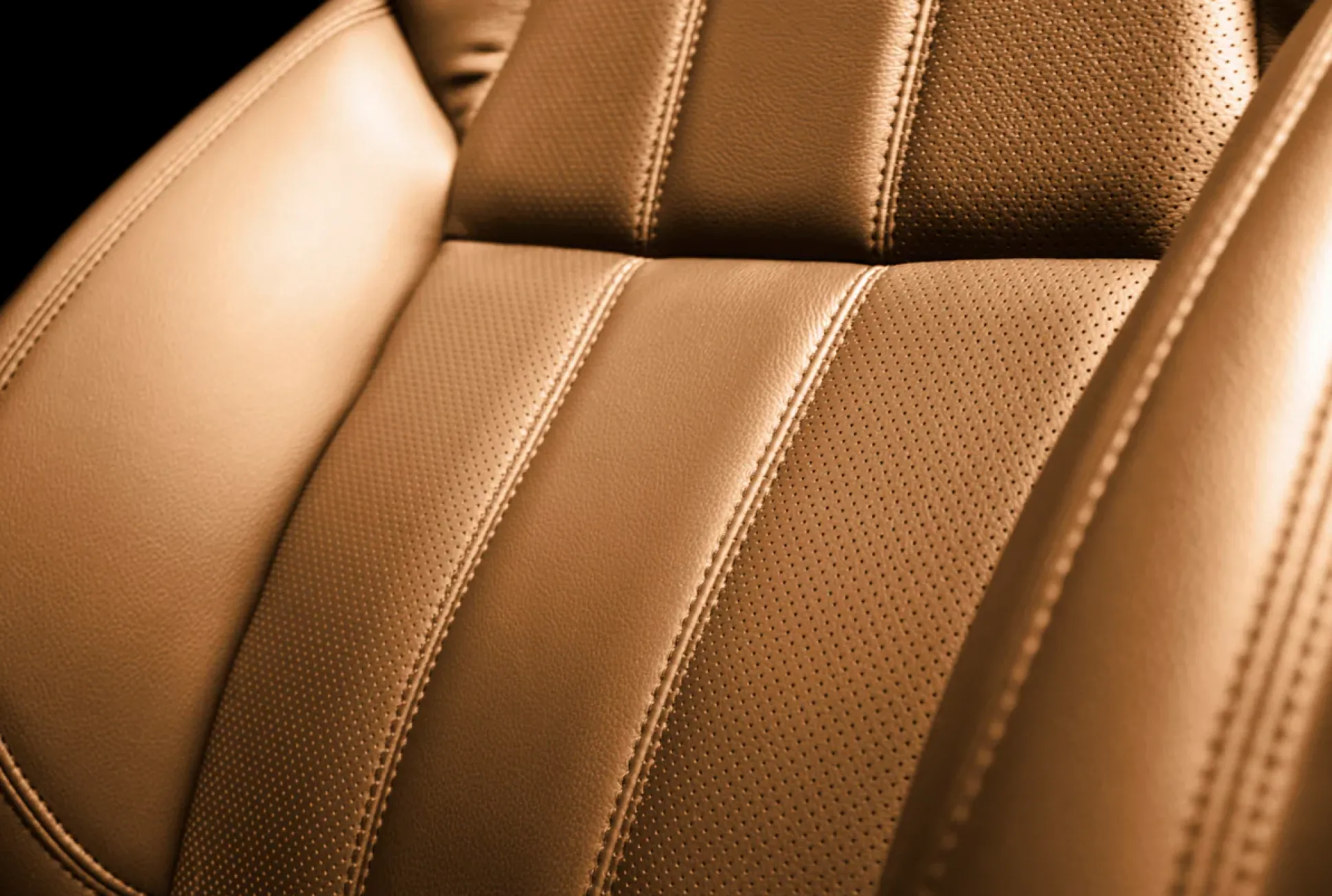 Leather Conditioner