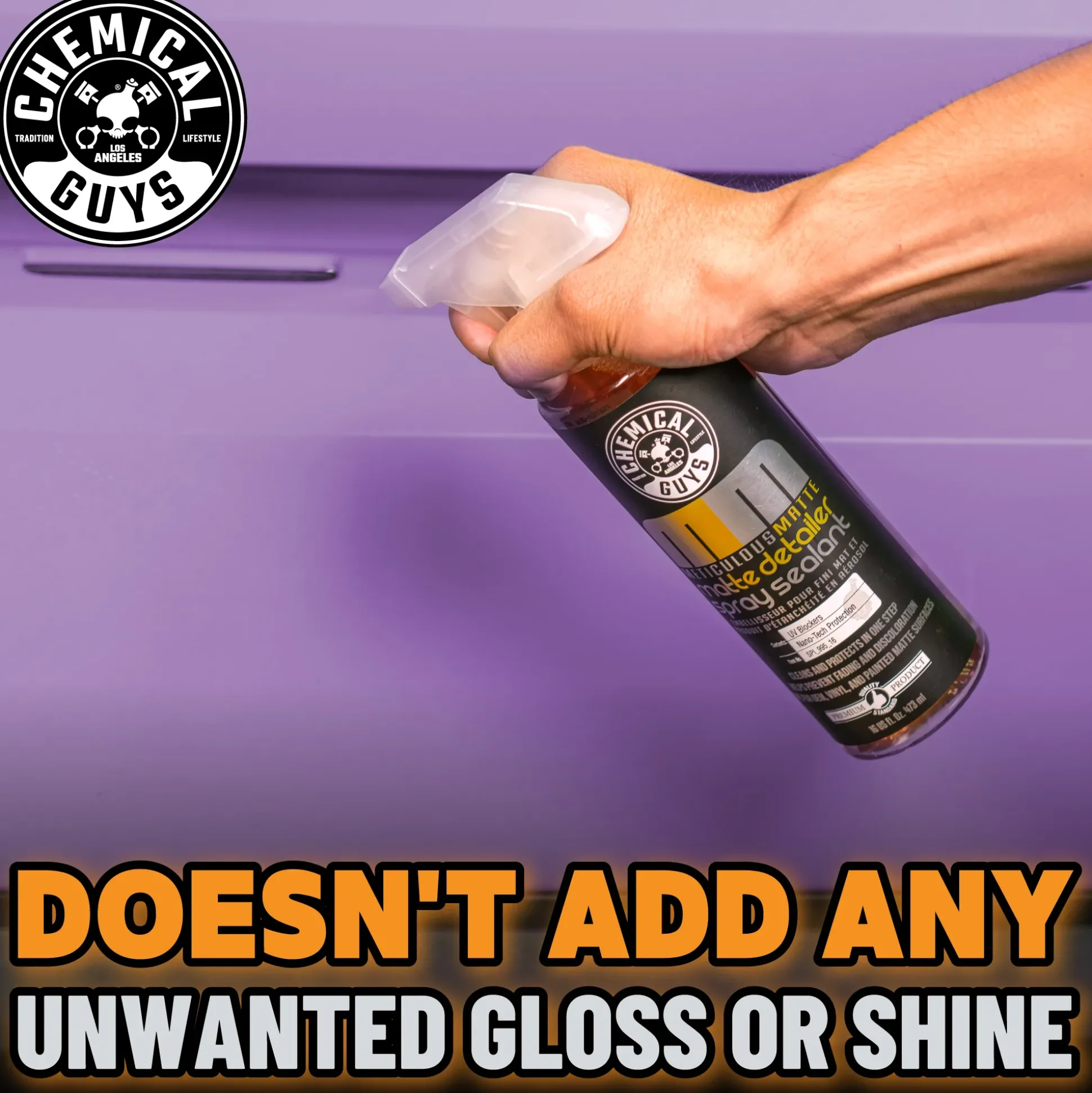 Meticulous Matte Detailer Spray & Sealant