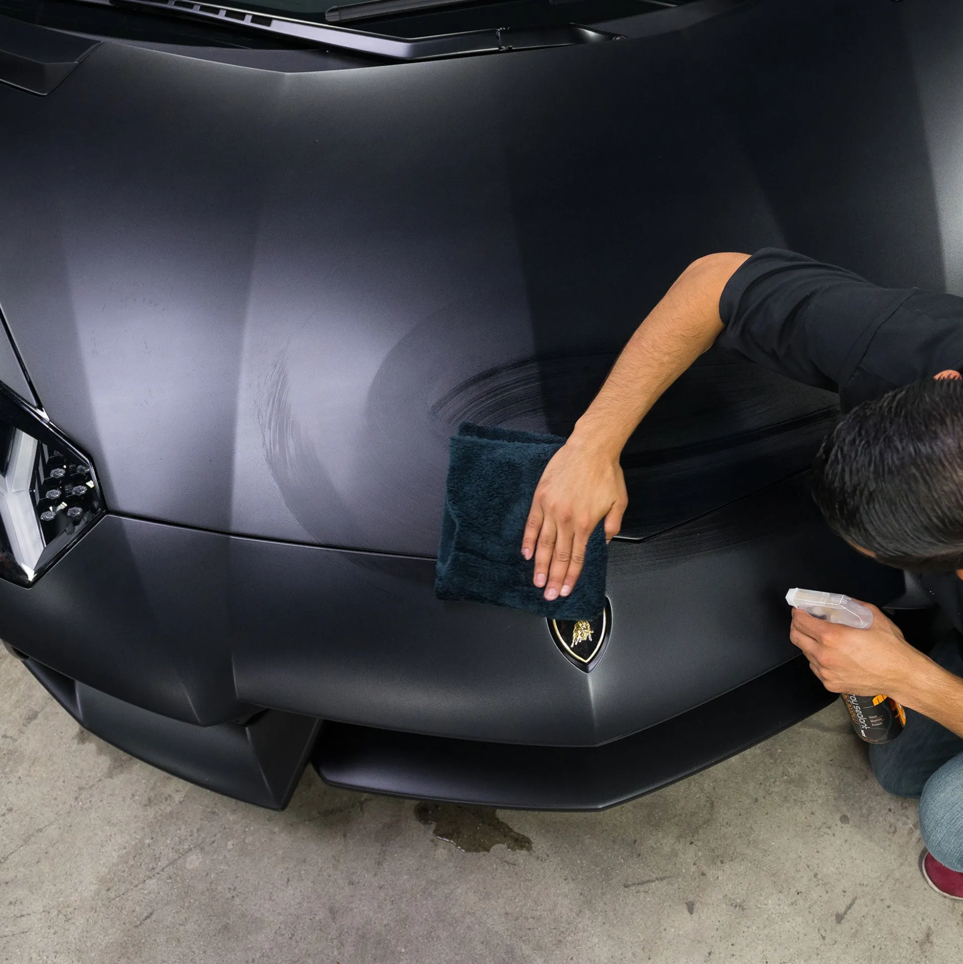 Meticulous Matte Detailer Spray & Sealant