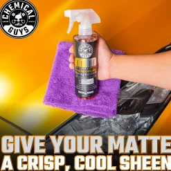 Meticulous Matte Detailer Spray & Sealant