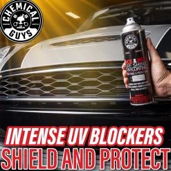 Nice and Wet Tire Shine Trim Coating Spray
