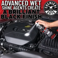 Nice and Wet Tire Shine Trim Coating Spray