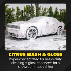 ProFlow Clean & Shine Bundle