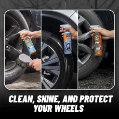 Wheel & Tire Clean & Protect Kit